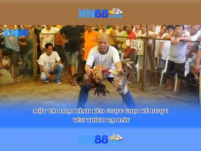 💎igaming slots provider australia💎 💎igaming slots provider australia💎