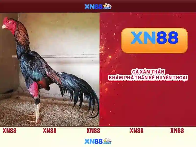 💎nhà cái 8g💎 💎nhà cái 8g💎