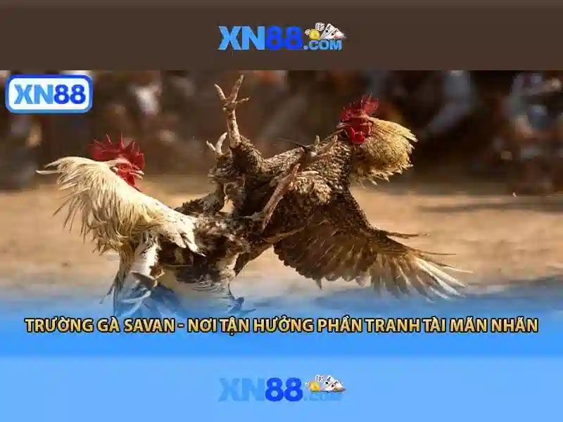 💎2 time slots💎 💎2 time slots💎