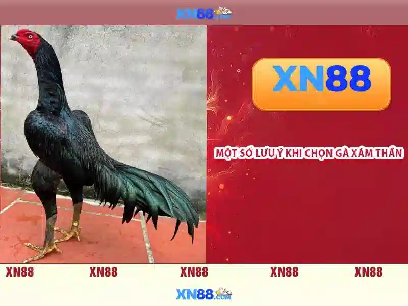 💎số nhà xe phúc xuyên lào cai, quảng ninh💎 💎số nhà xe phúc xuyên lào cai, quảng ninh💎