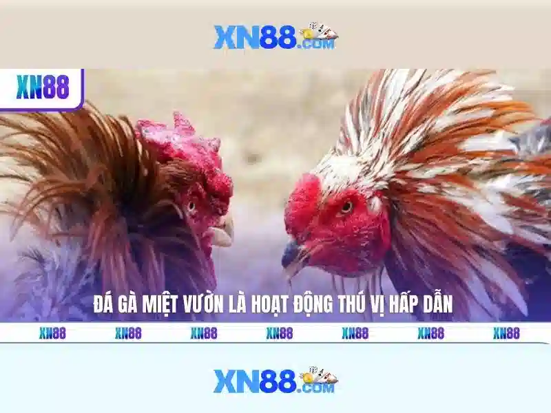 💎tỷ lệ cá cược thái lan và philippines💎 💎tỷ lệ cá cược thái lan và philippines💎