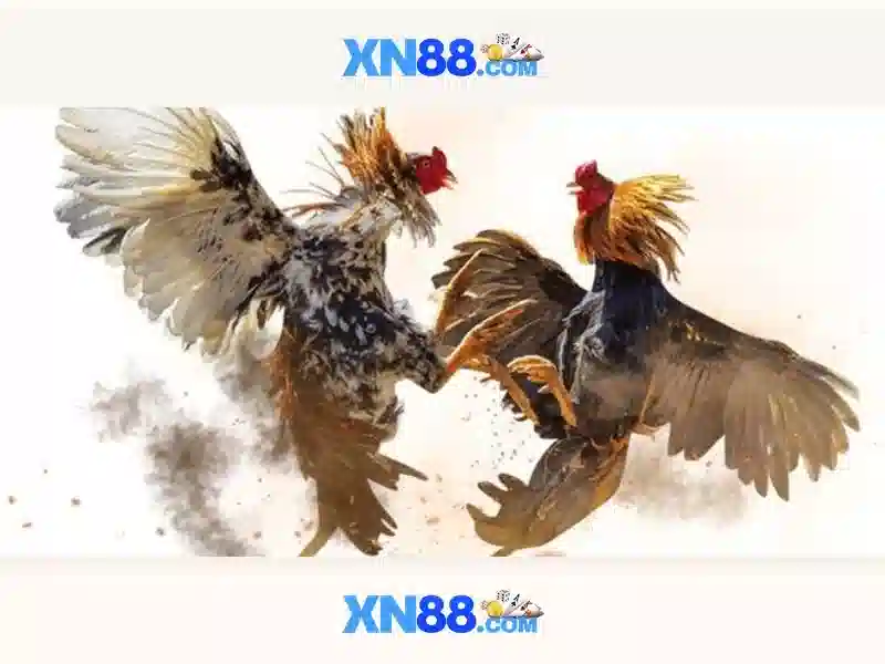 💎888slot tây ninh theo chủ sở hữu💎 💎888slot tây ninh theo chủ sở hữu💎