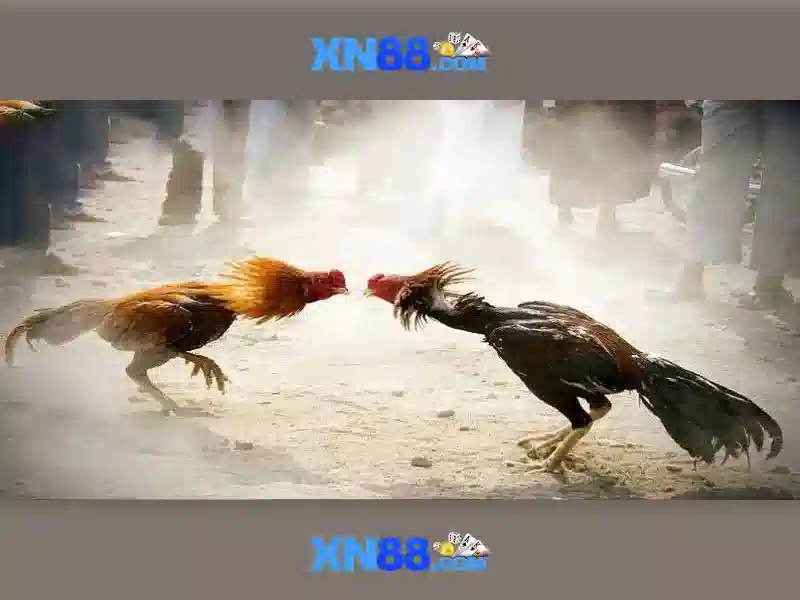 💎lucky land slots login💎 💎lucky land slots login💎