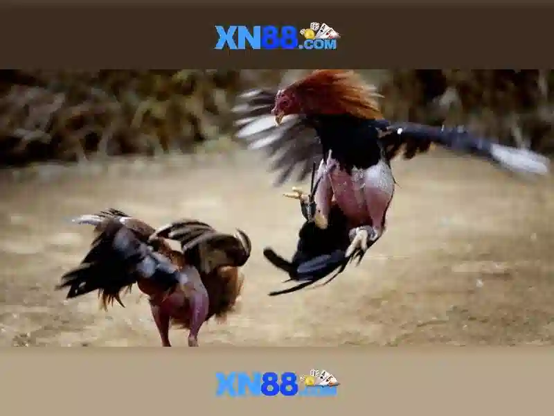 💎167 slot💎 💎167 slot💎