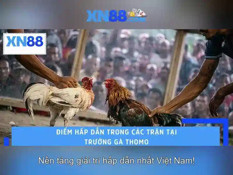 💎imperial destiny slot game💎 💎imperial destiny slot game💎