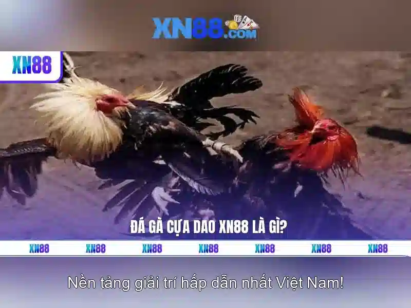 💎sòng bạc trực tuyến tốt nhấ💎 💎sòng bạc trực tuyến tốt nhấ💎