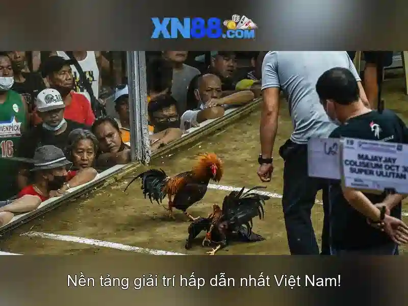 💎xn88 promo code💎 💎xn88 promo code💎