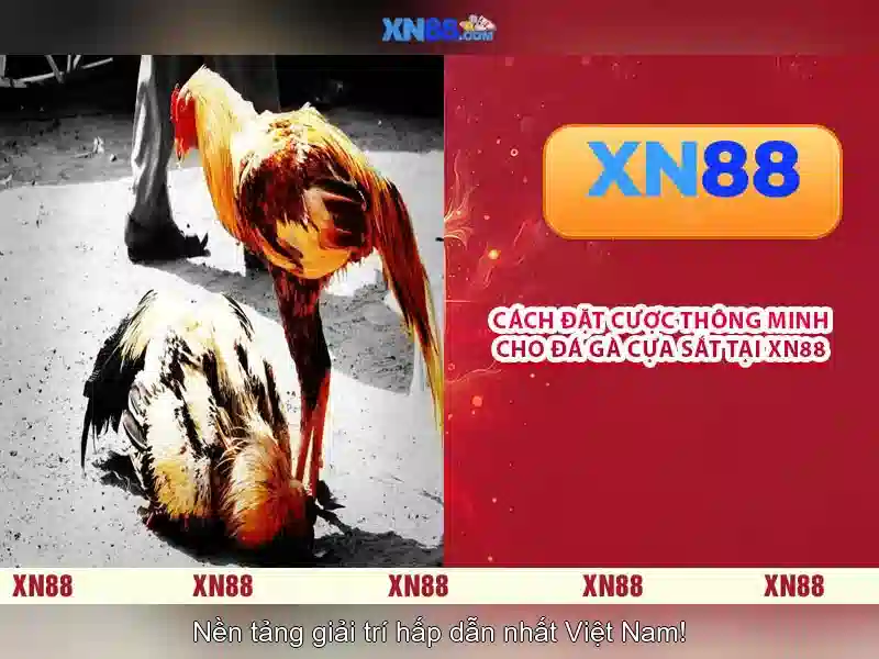 💎888 slot go88💎 💎888 slot go88💎