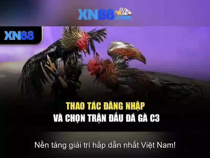 💎tình yêu cá cược vkook💎 💎tình yêu cá cược vkook💎
