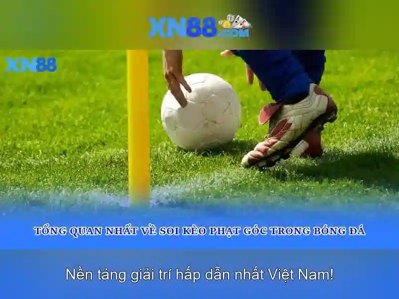 💎nhà cái iwin💎 💎nhà cái iwin💎