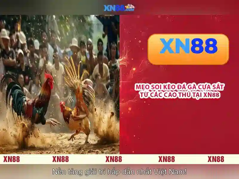 💎55 hb88 slot💎 💎55 hb88 slot💎