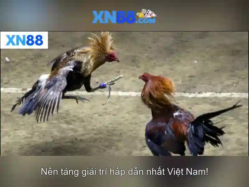 💎xn88 club game💎 💎xn88 club game💎